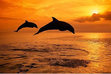 《战地5》既视感？《战地》新作全新地图测试泄露