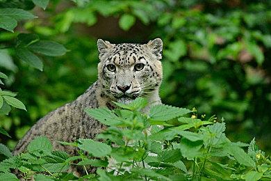 Xbox终极游戏特卖 7月31日结束