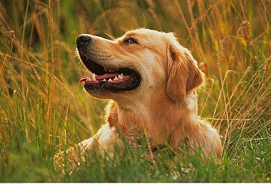 B社对《星空》销量信心满满：预计收入达到9亿美元